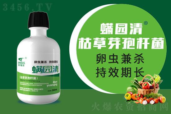 年年有!柑橘红蜘蛛,还有药可治吗? 年年有!柑橘红蜘蛛,还有药可治吗?